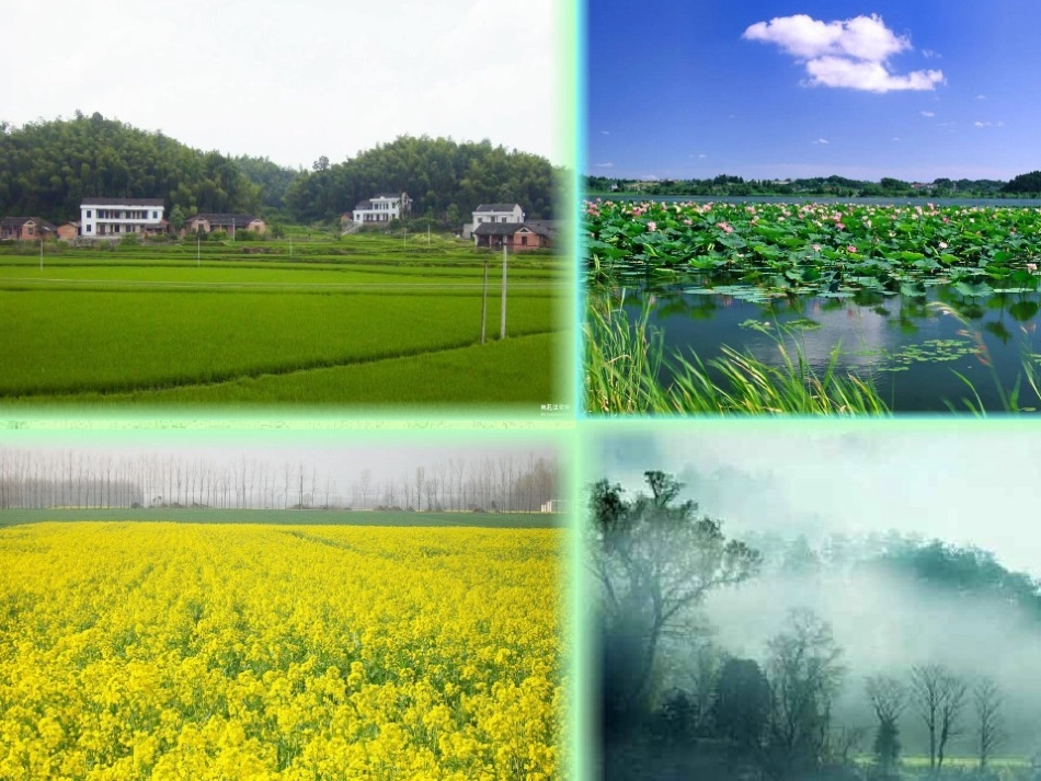 古诗诵读：乡村四月_第2页