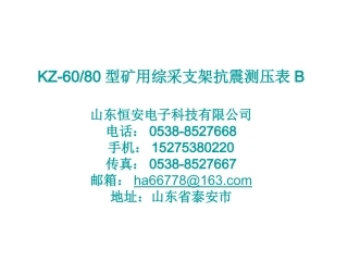 KZ-6080型矿用综采支架抗震测压表B