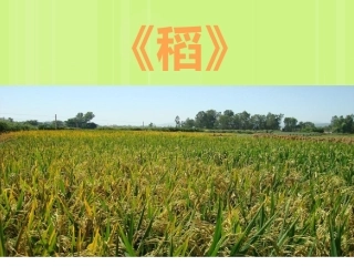 8-《天工开物》两则
