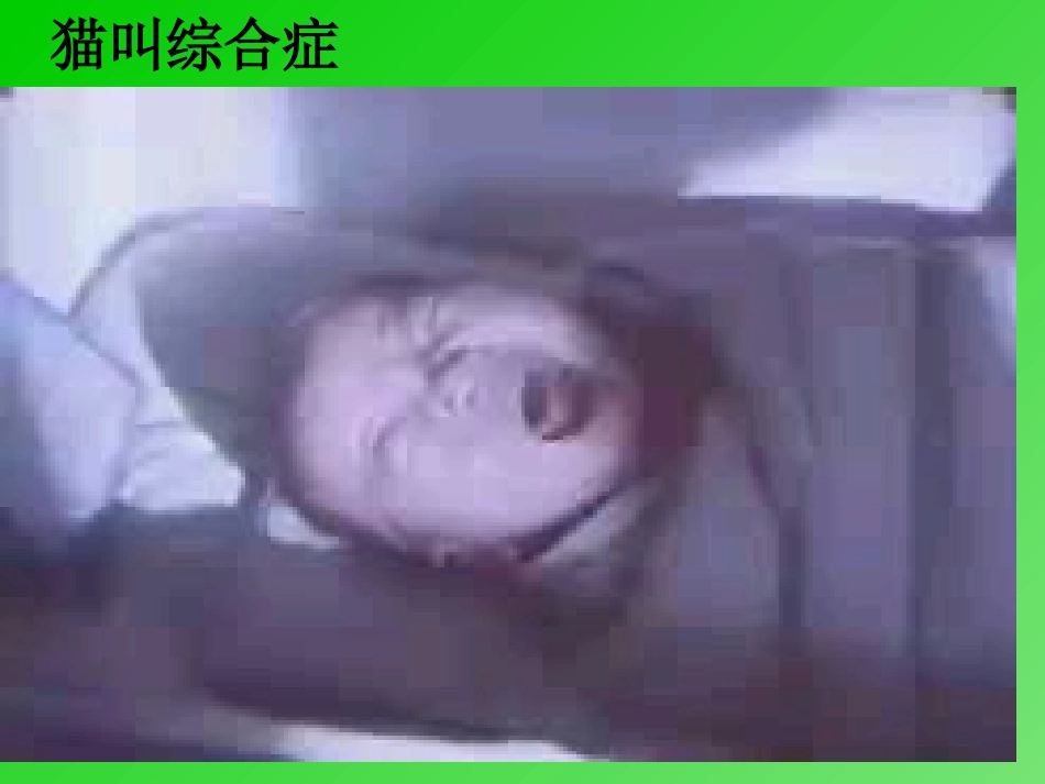 第一节生物变异的来源_第2页