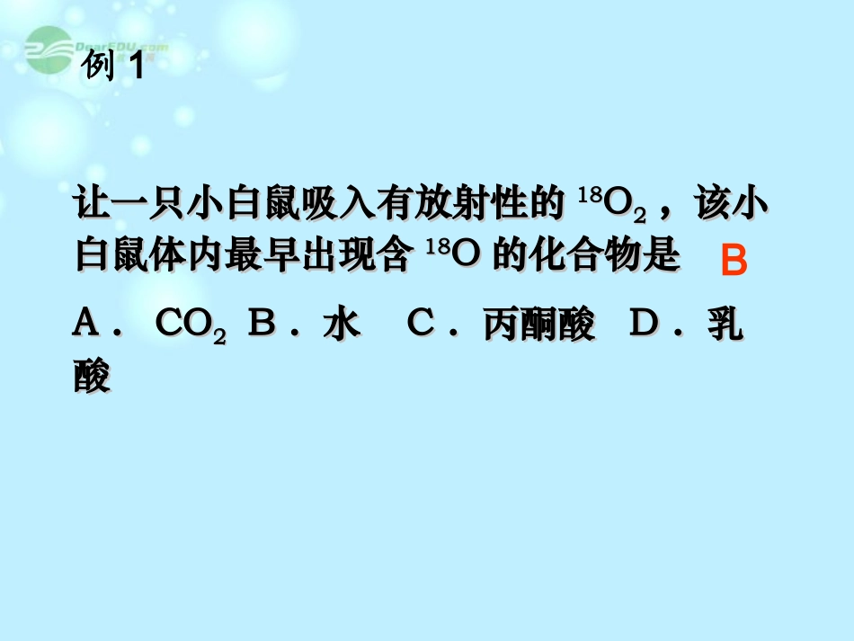 浙江省新安江中学高三生物《细胞呼吸复习》课件_第1页