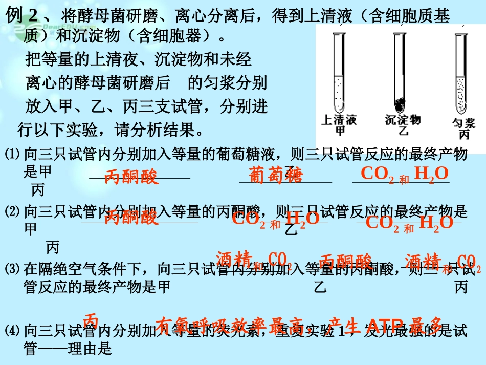 浙江省新安江中学高三生物《细胞呼吸复习》课件_第2页