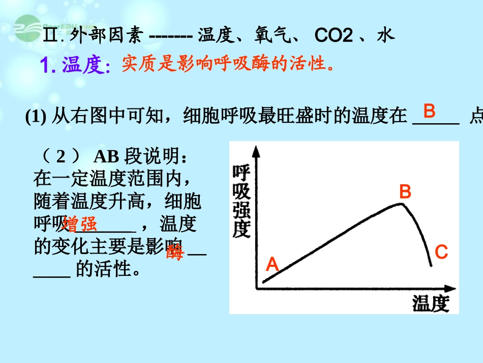 浙江省新安江中学高三生物《细胞呼吸复习》课件_第3页