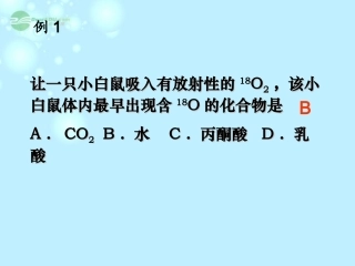 浙江省新安江中学高三生物《细胞呼吸复习》课件