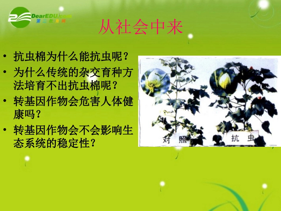 高中生物--2.2《现代生物技术在育种上的应用》课件-新人教版选修2_第3页