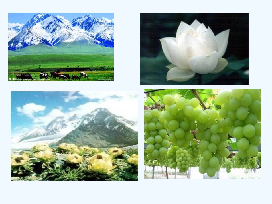 (部编)人教语文2011课标版一年级下册我想去看看-(4)_第2页