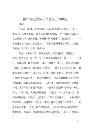在--年财务工作会议上的讲话