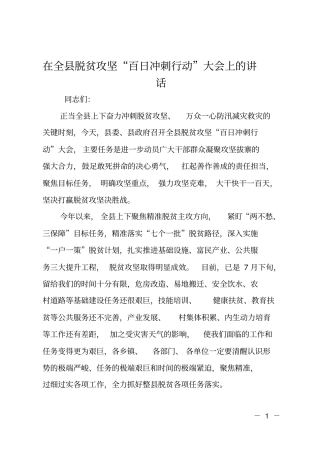 在全脱贫攻坚百日冲刺行动大会上的讲话