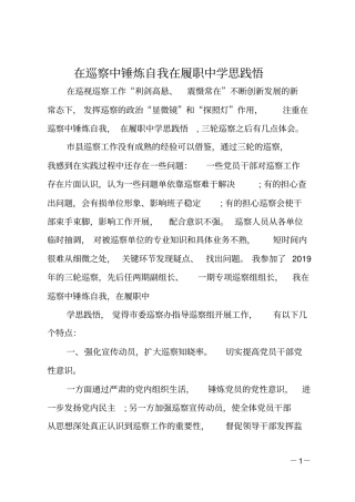 在巡察中锤炼自我在履职中学思践悟