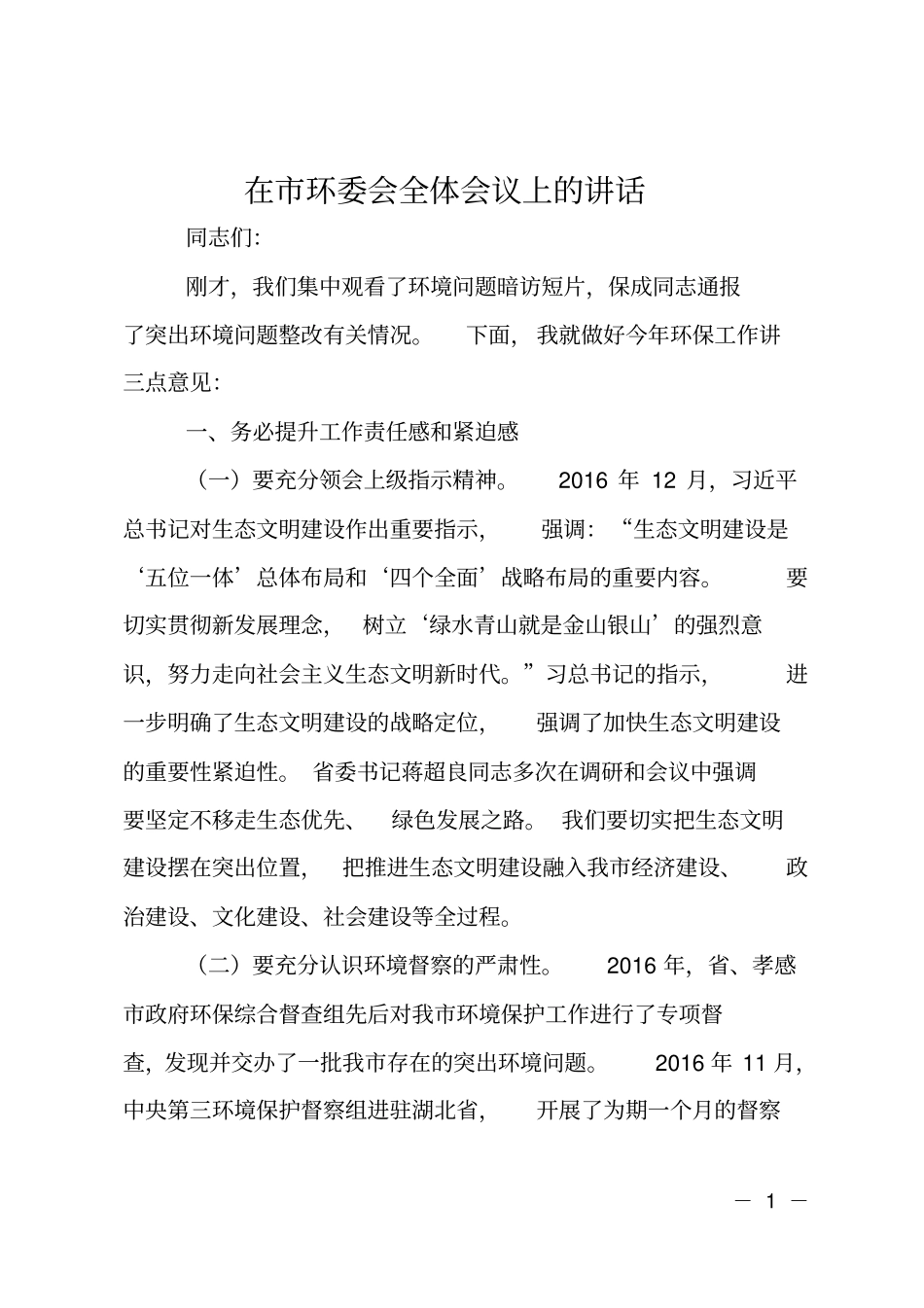 在环委会全体会议上的讲话_第1页