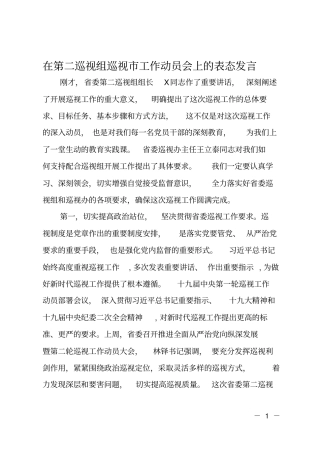 在第二巡视组巡视工作动员会上的表态发言
