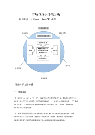 场与竞争环境分析解析
