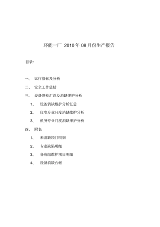 垃圾焚烧电厂月度分析报告