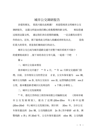 城公交调研报告
