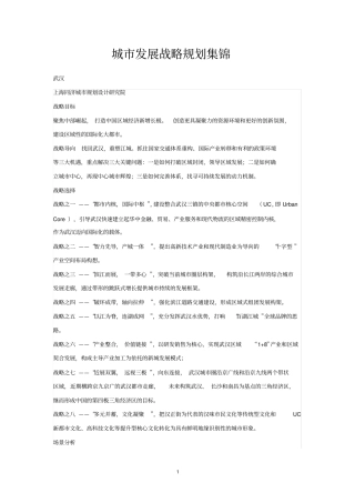 城发展战略规划集锦