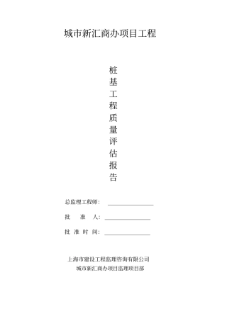 城新汇商办项目桩基工程评价报告