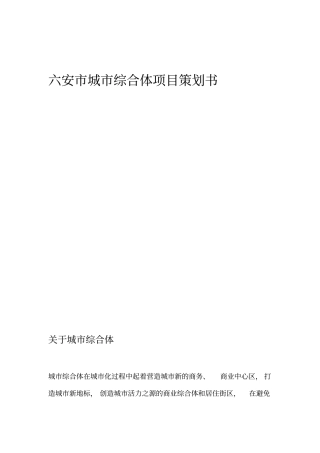 城综合体项目策划书