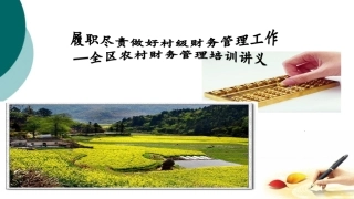 农村级财务管理培训课件
