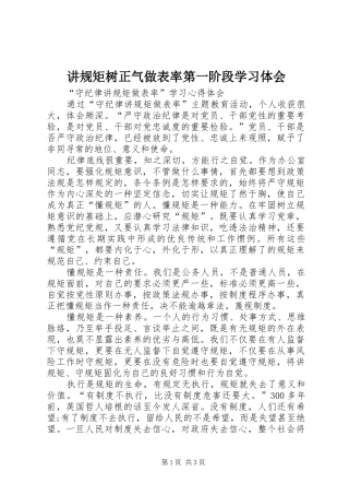 讲规矩树正气做表率第一阶段学习体会