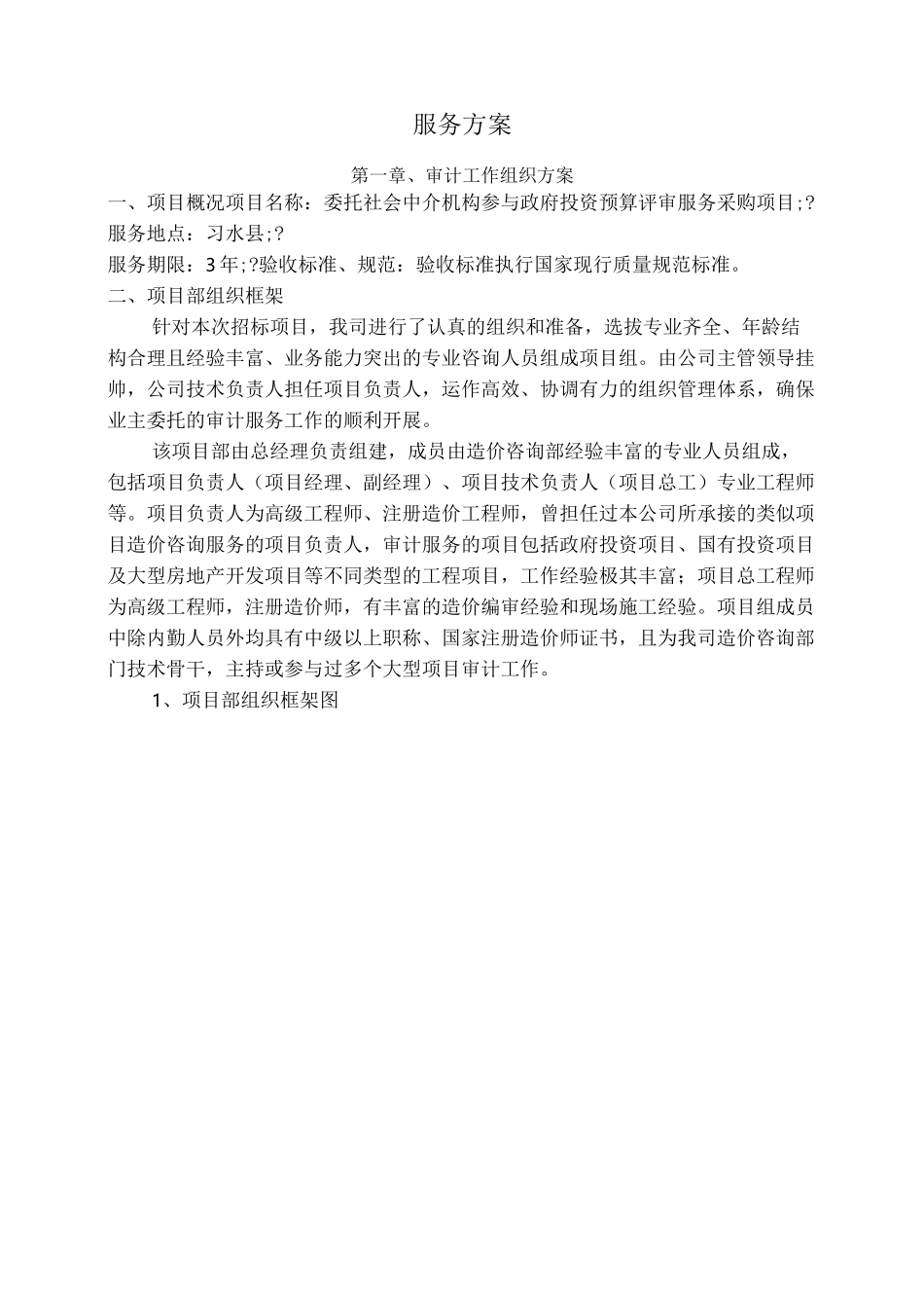 审计服务方案_第1页