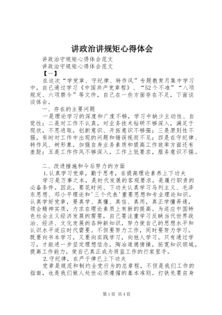 讲政治讲规矩体会心得