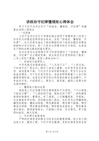 讲政治守纪律懂规矩体会心得
