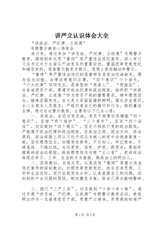 讲严立认识体会大全