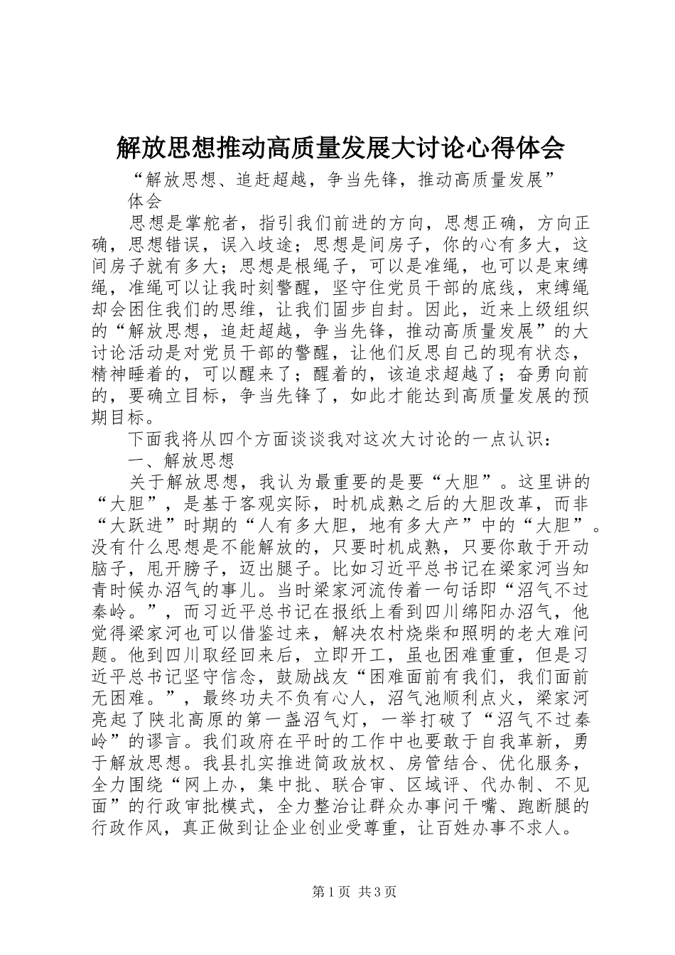 解放思想推动高质量发展大讨论体会心得_第1页