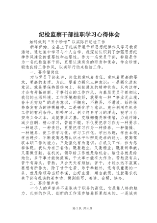 纪检监察干部挂职学习体会心得