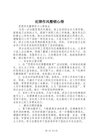 纪律作风整顿心得