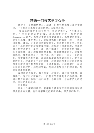 精通一门技艺学习体会