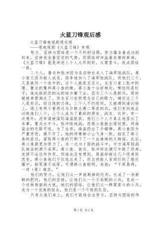 火蓝刀锋观后心得