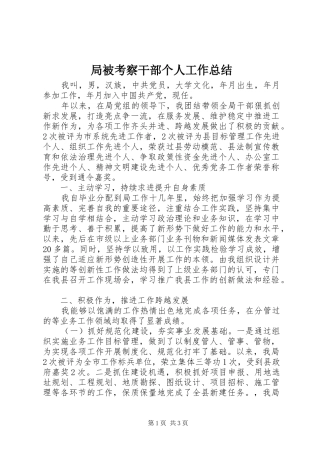 局被考察干部个人工作总结 