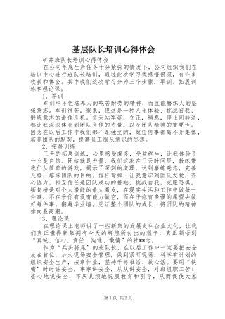 基层队长培训体会心得