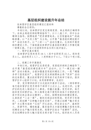 基层组织建设提升年总结 