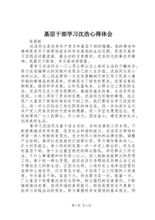基层干部学习沈浩体会心得