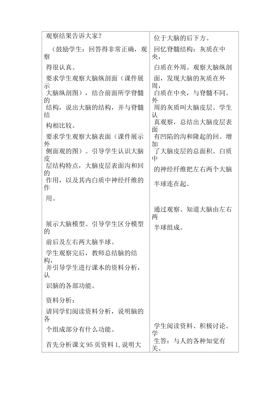 脑的功能教案_第2页