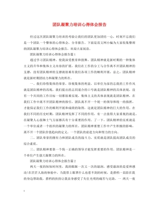 团队凝聚力培训心得体会报告 