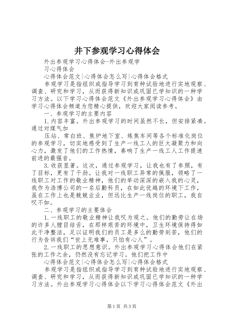 井下参观学习体会心得_第1页