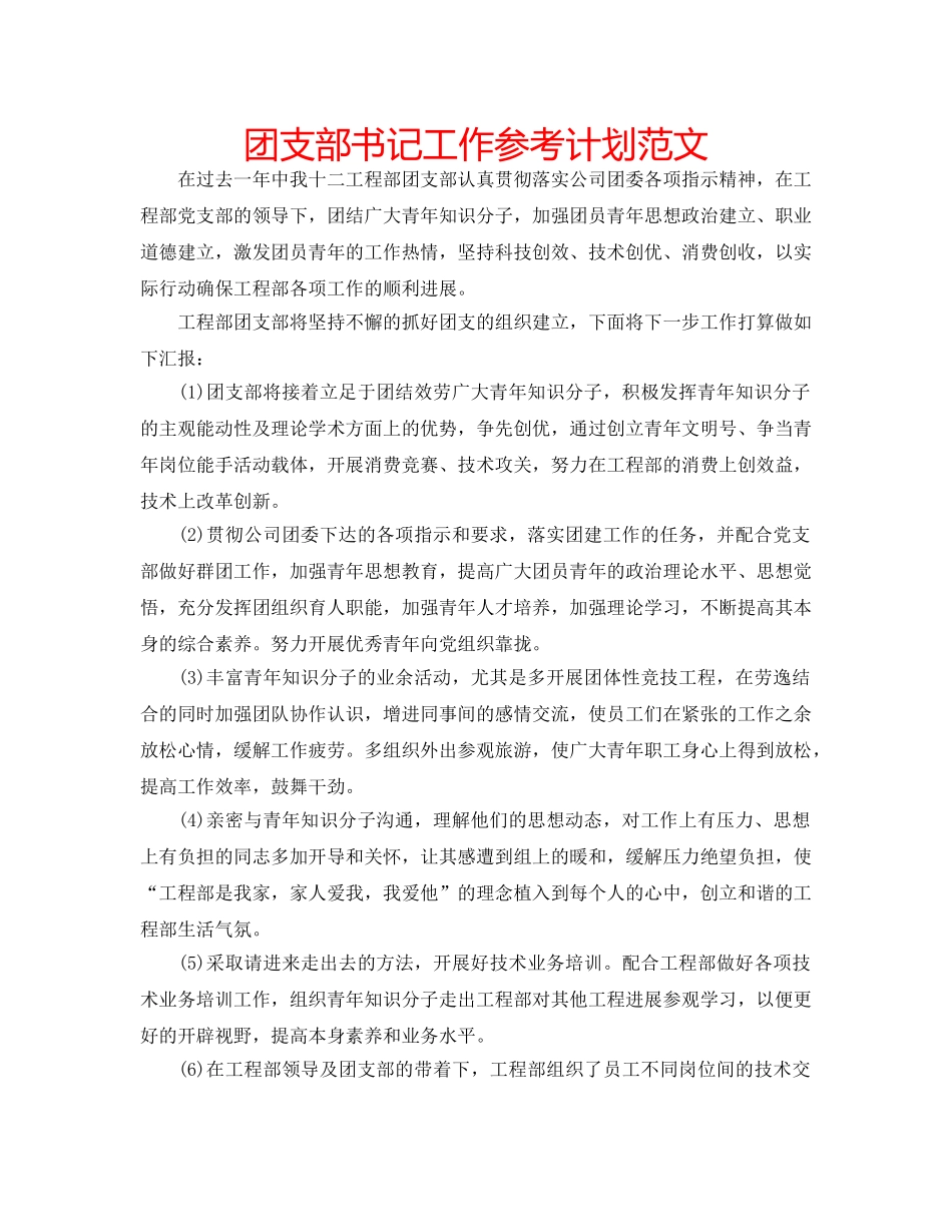 团支部书记工作参考计划范文 _第1页