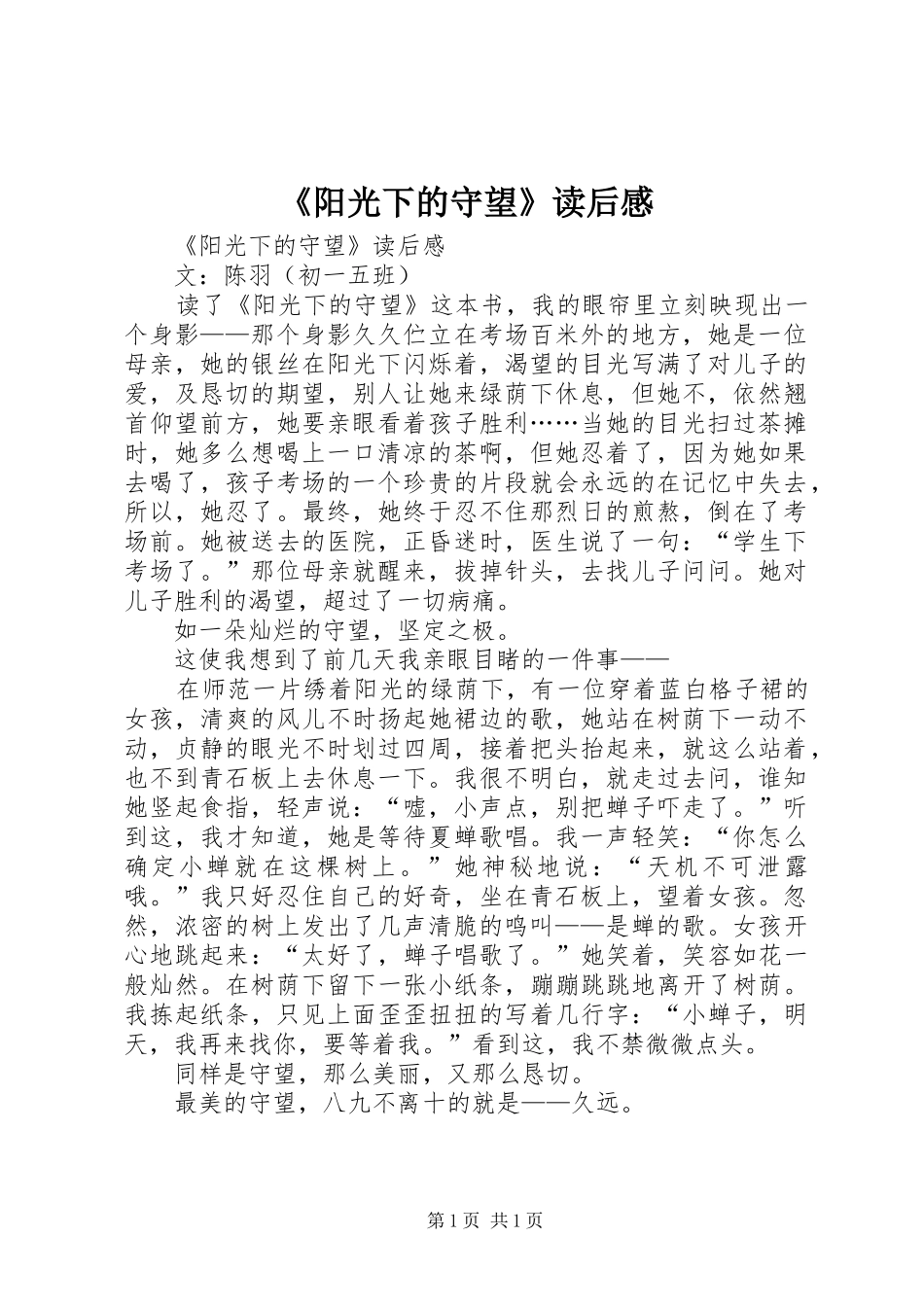 《阳光下的守望》读后心得_第1页