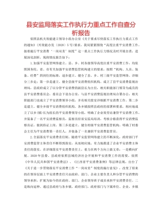 县安监局落实工作执行力重点工作自查分析报告 