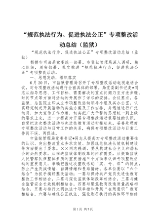 “规范执法行为、促进执法公正”专项整改活动总结（监狱） 