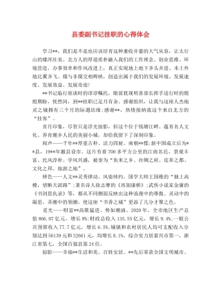 县委副书记挂职的心得体会 