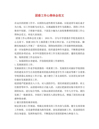 团委工作心得体会范文 