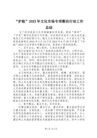 “护航”20XX年文化市场专项整治行动工作总结
