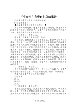 “小金库”自查自纠总结报告 