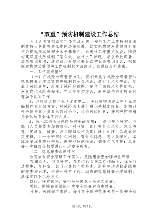 “双重”预防机制建设工作总结 
