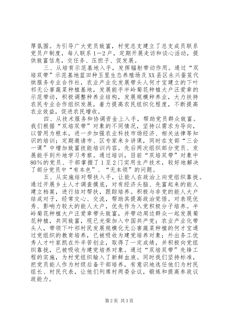 “双培双带”总结[范文大全] _第2页
