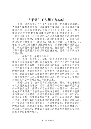 “千促”工作组工作总结 